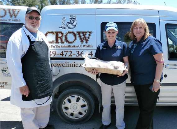 "Thank you to the staff at Bailey's General Store for handling all the calls and purchases of fish heads for Ozzie the bald eagle. We appreciate your support!