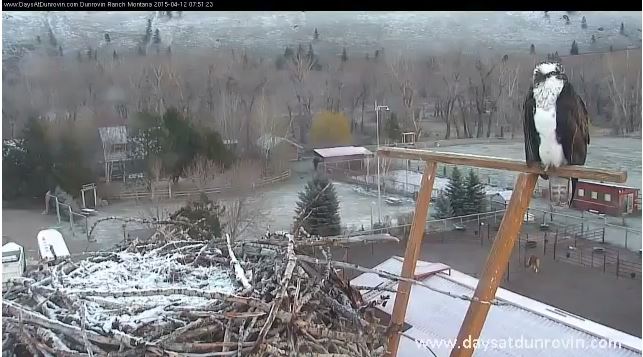 Cattura101.JPG