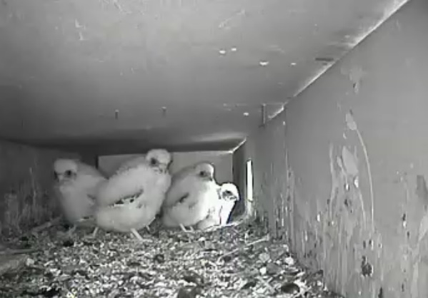 9:05 - più piccolo in prima fila