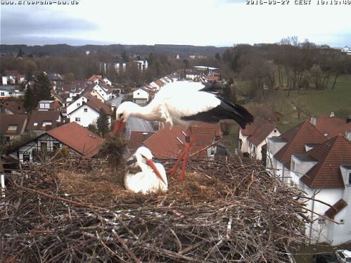 2016-03-27190100BadWaldsee.jpg