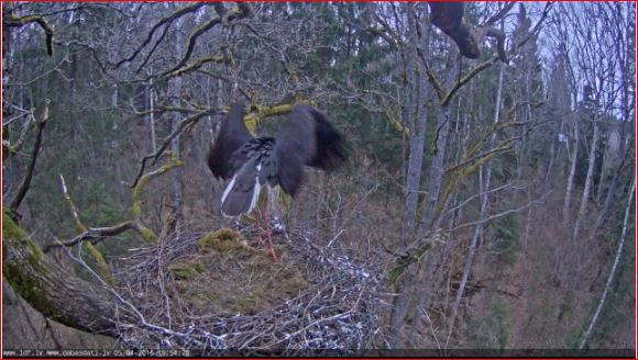 Cattura.JPG