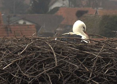 BornheimKirche_Bild3a.jpg