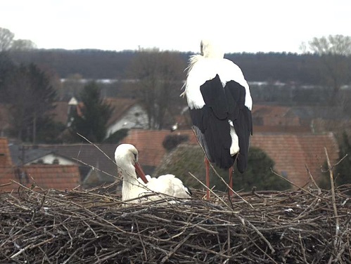 BornheimKirche_Bild2.jpg