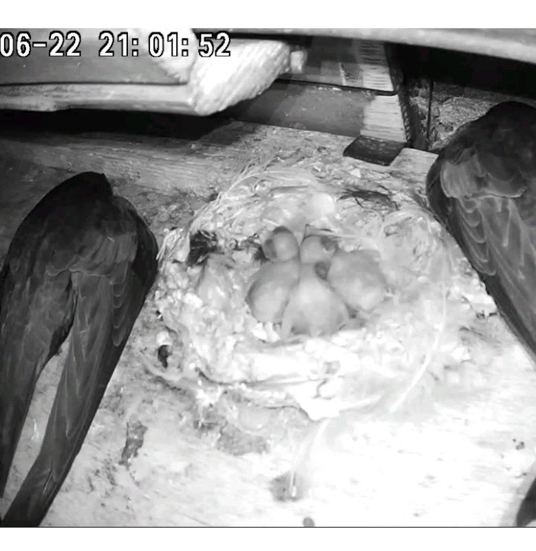 Screenshot_2023-06-22-21-02-06-080.jpeg