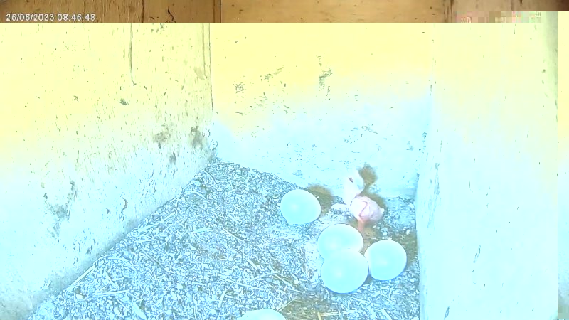 SnapShot-20230626_084658.jpg